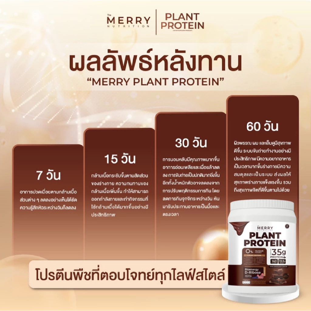 [ Plant 1 กระปุก] Merry Plant Protein โปรตีนพืช 5 ชนิด: สูตรสร้างกล้ามเนื้อ โปรตีน 35 กรัม D-Ribose thumbnail 10