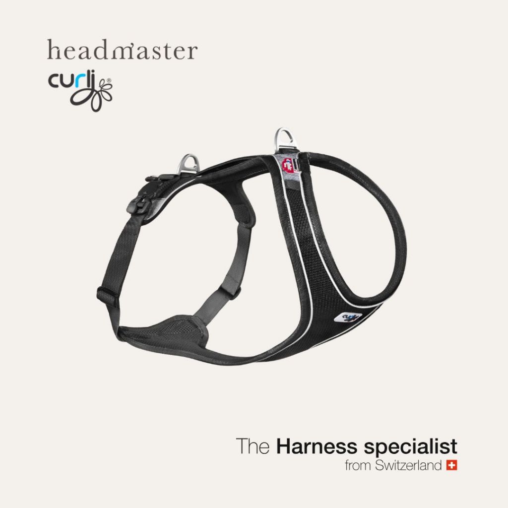 curli Magnetic Belka Comfort Harness สายรัดอก หัวล็อคแม่เหล็ก สำหรับสุนัขขนาดใหญ่