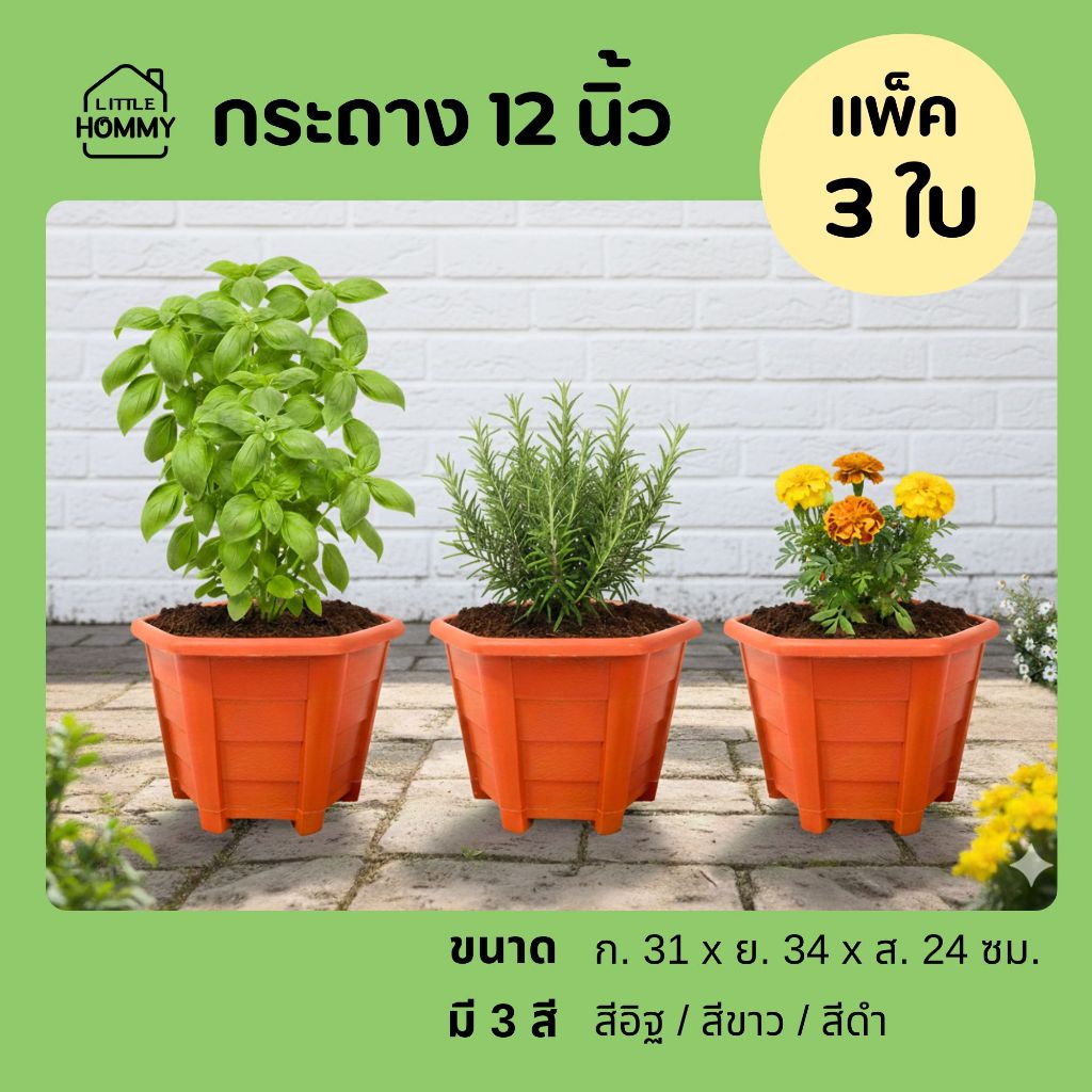 [แพ็ค 3 ใบ] กระถาง 12 นิ้ว หกเหลี่ยม กระถางกุหลาบ ก้นเจาะรูระบายน้ำ