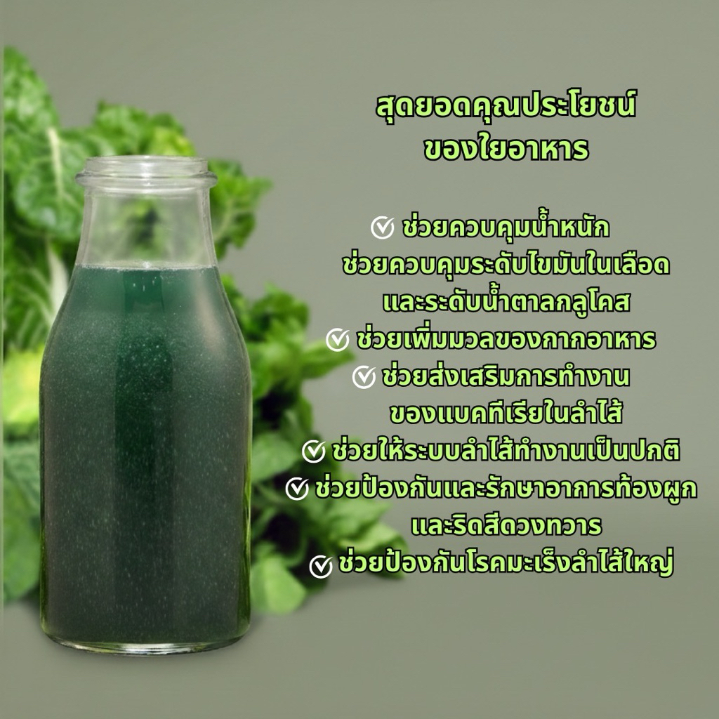 ไฟโต-ไฟเบอร์ ใยอาหาร รูปที่ 4