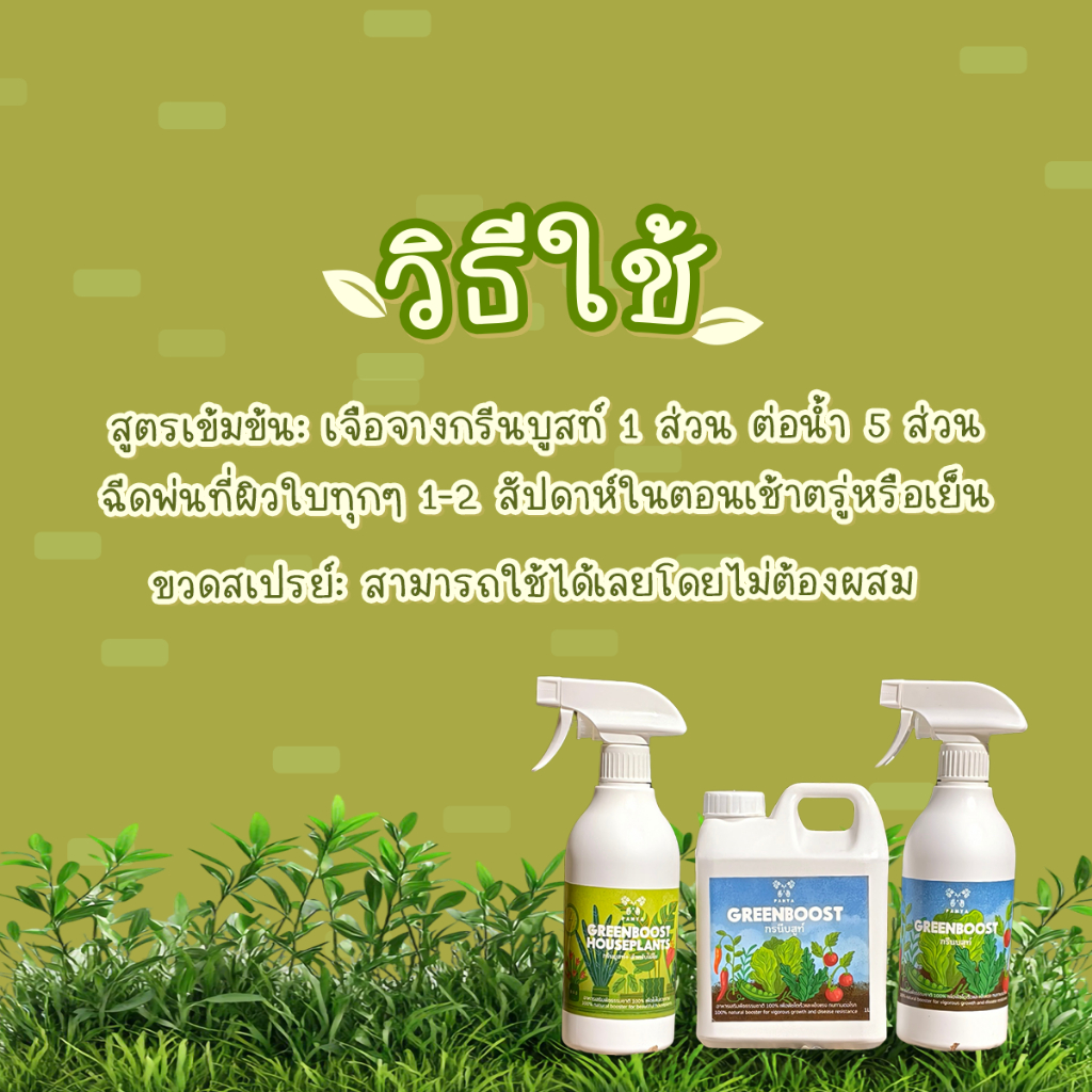 อาหารเสริมบำรุงพืช Green Boost บำรุงไม้ใบ ไม้ฟอกอากาศ ผักสลัด สวนครัว ไม้ดอก ปุ๋ยน้ำ100%ออร์แกนิค [Organic BioStimulant] รูปที่ 5