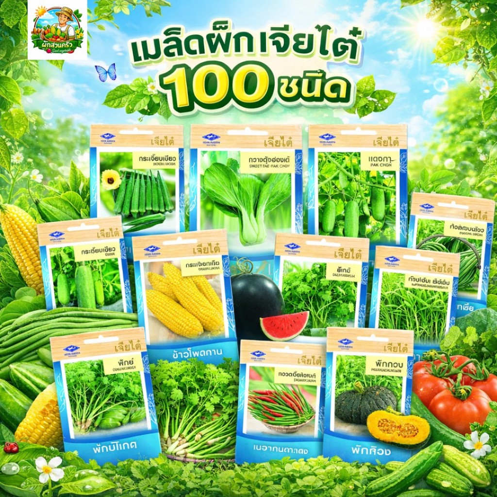 รวมผักเจียไต๋ OP ผักซอง (ชุดที่1) 50 กว่าชนิด เมล็ดพันธุ์ ถั่วฝักยาว มะเขือเทศ ความงอกดี โตเร็ว