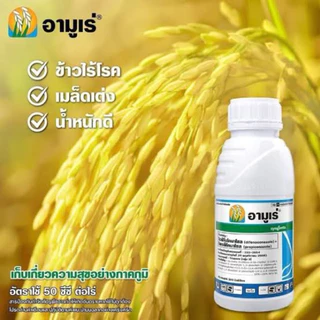 อามูเร่ ซินเจนทา(ไดฟีโนโคนาโซล+ โพรพิโคนาโซล)โรคกาบใบแห้ง,เมล็ดด่าง ใบจุดสีน้ำตาล ใบขีดสีน้ำตาล