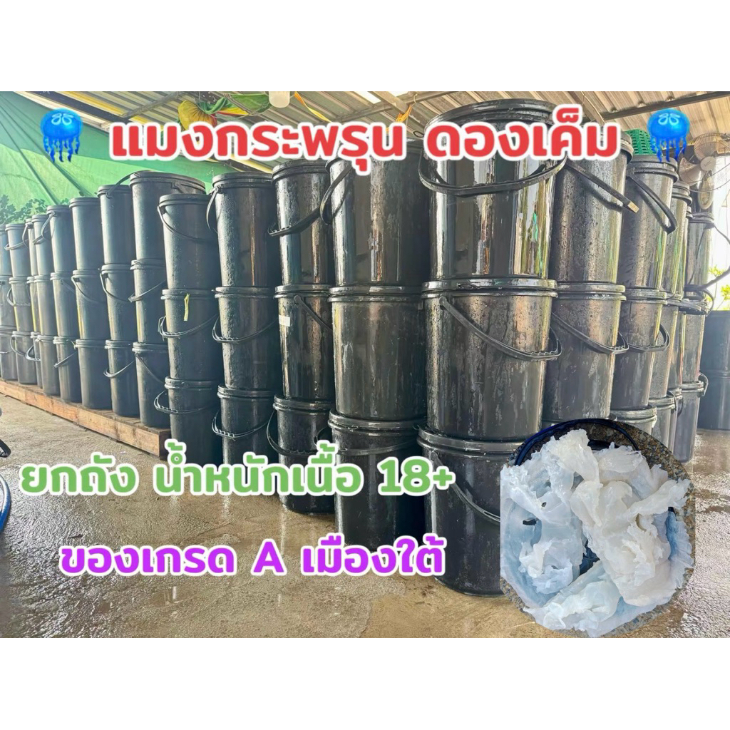 แมงกะพรุนดองเค็ม(ยกถัง) ตัว+ขา และ ขาล้วน น้ำหนักเนื้อ18+โล