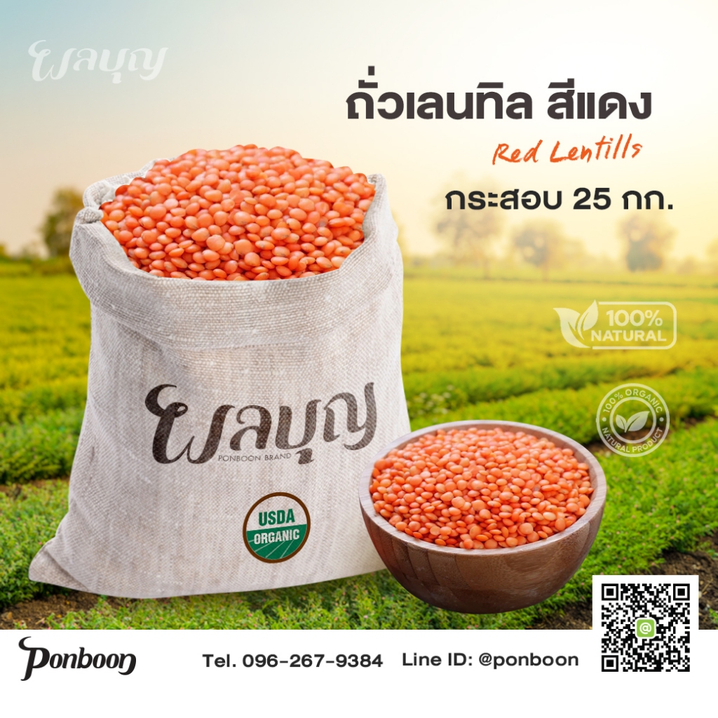 ถั่วเลนทิลสีแดง Red Lentils กระสอบ 25 กก.