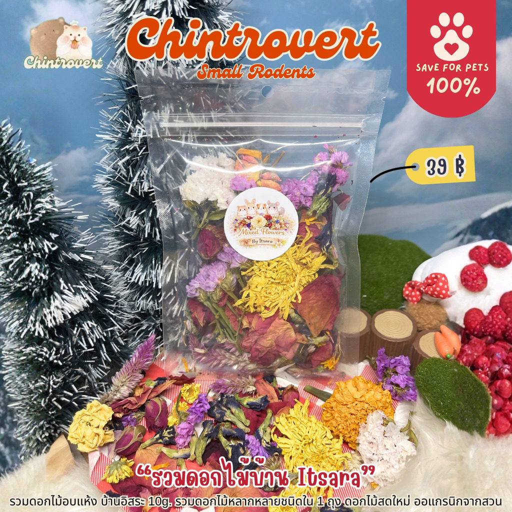 Chintrovert ✨| รวมดอกไม้บ้าน Itsara | สำหรับกระต่าย ชินชิล่า แฮมเตอร์ แฟตเทล ดอร์เมาท์ ดัมโบ้
