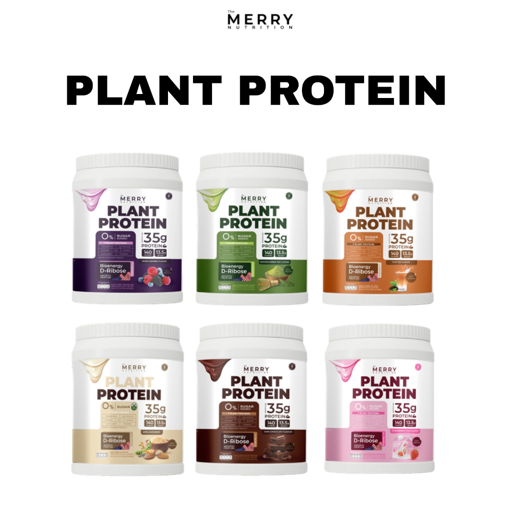 Merry Plant Protein โปรตีนพืช 6 รสชาติ
