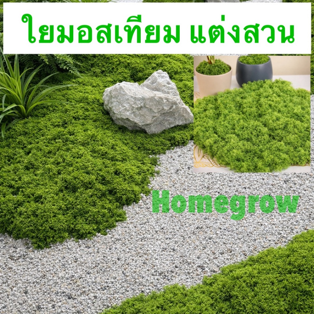 มอสเทียม ตกแต่ง สนามหญ้ามอสเส้นใยเทียม, มอสเทียม, การจัดสวนด้วยมอสปุยเทียม, บอนไซสนามหญ้า, การปูพื้นด้วยกระถางต้นไม้