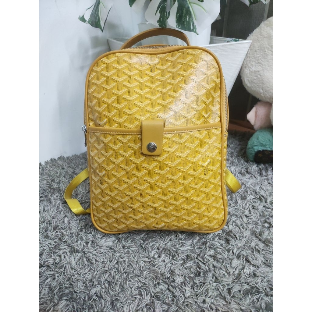 Goyard backpack กระเป๋าเป้โกยาดมือสอง