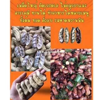 เมล็ดพันธุ์ ถั่วลายเสือ เมล็ดแห้ง 1 กก. ปลูกได้ งอกดี แปรรูปทำอาหารได้