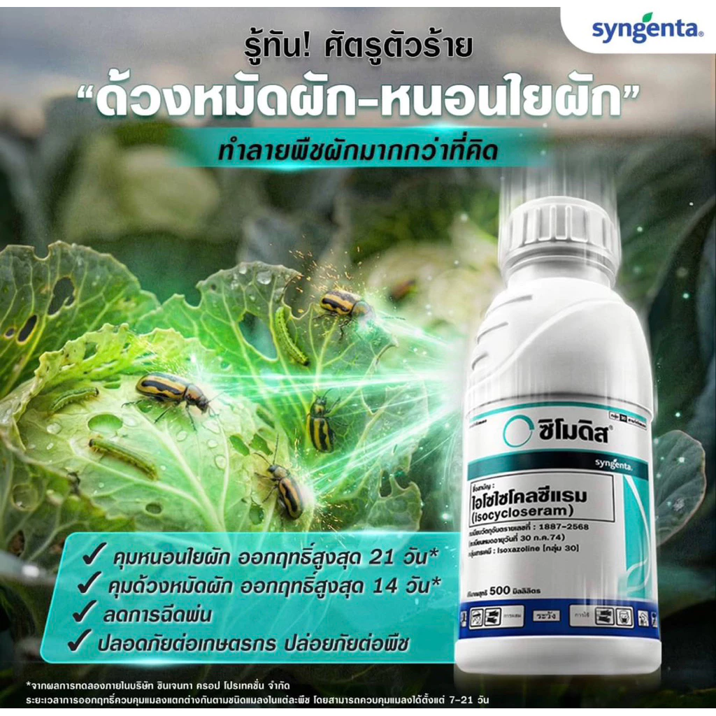 ซิโมดิส จากซินเจนทา ขวดเดียวสะเทือนโลก กำจัดหนอนใย เพลี้ยไฟ ด้วงหมัดผัก เพลี้ยอ่อน หนอนเจาะผล