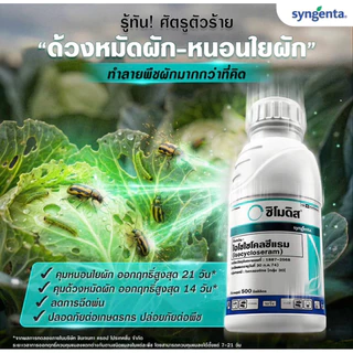 ซิโมดิส จากซินเจนทา ขวดเดียวสะเทือนโลก กำจัดหนอนใย เพลี้ยไฟ ด้วงหมัดผัก เพลี้ยอ่อน หนอนเจาะผล