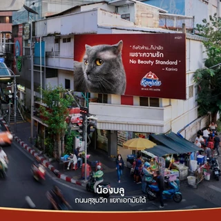 ( 1 ซอง ) อาหารเปียกแมว Kaniva ( 1 ซอง ) ( 70 กรัม)
