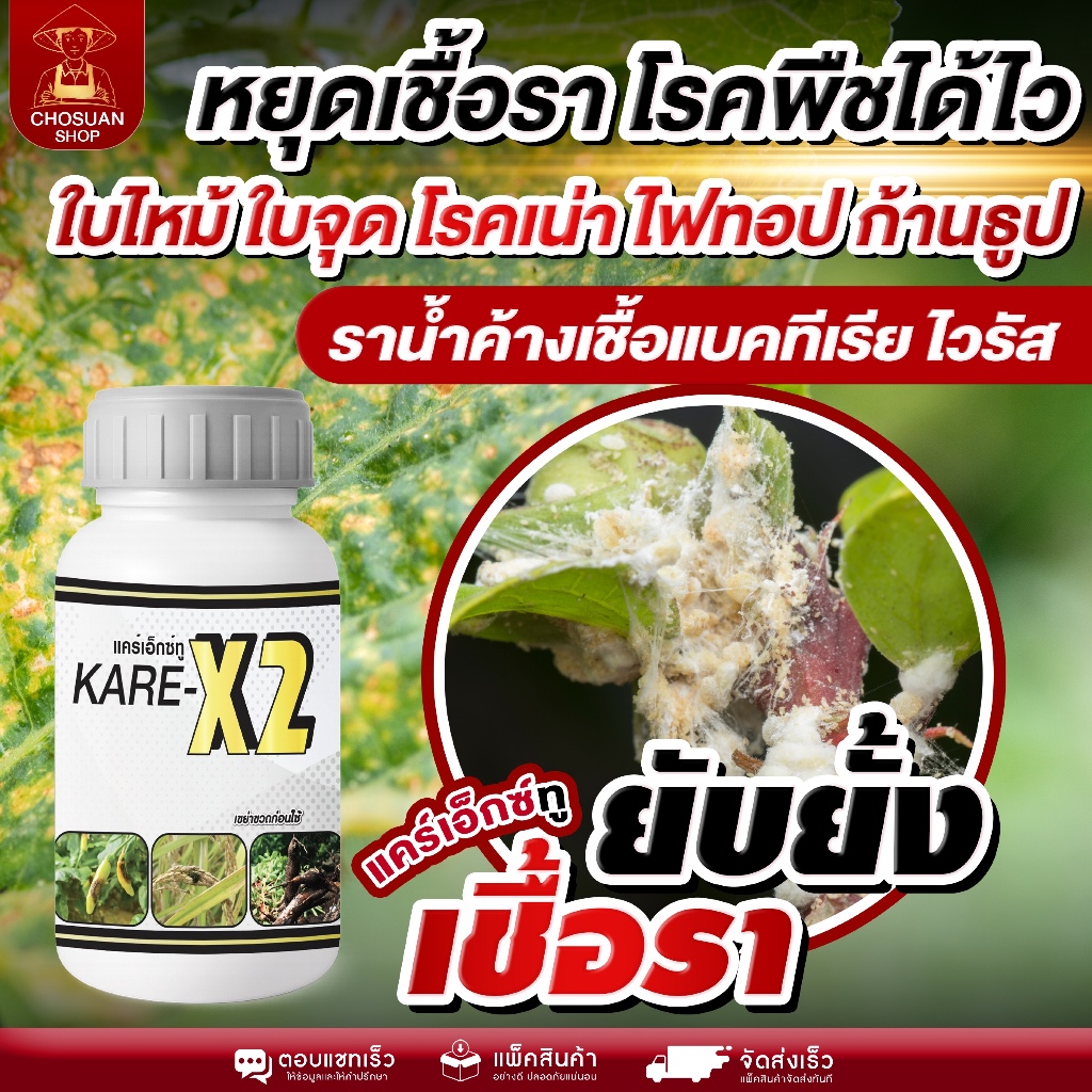 แคร์ทู หยุดเชื้อรา ใบไหม้ ใบจุด โรคเน่าไฟทอปธอรา ราน้ำค้าง เชื้อแบคทีเรียไวรัส สูตรเข้มข้น ยับยั้งและกำจัดเชื้อราได้จริง