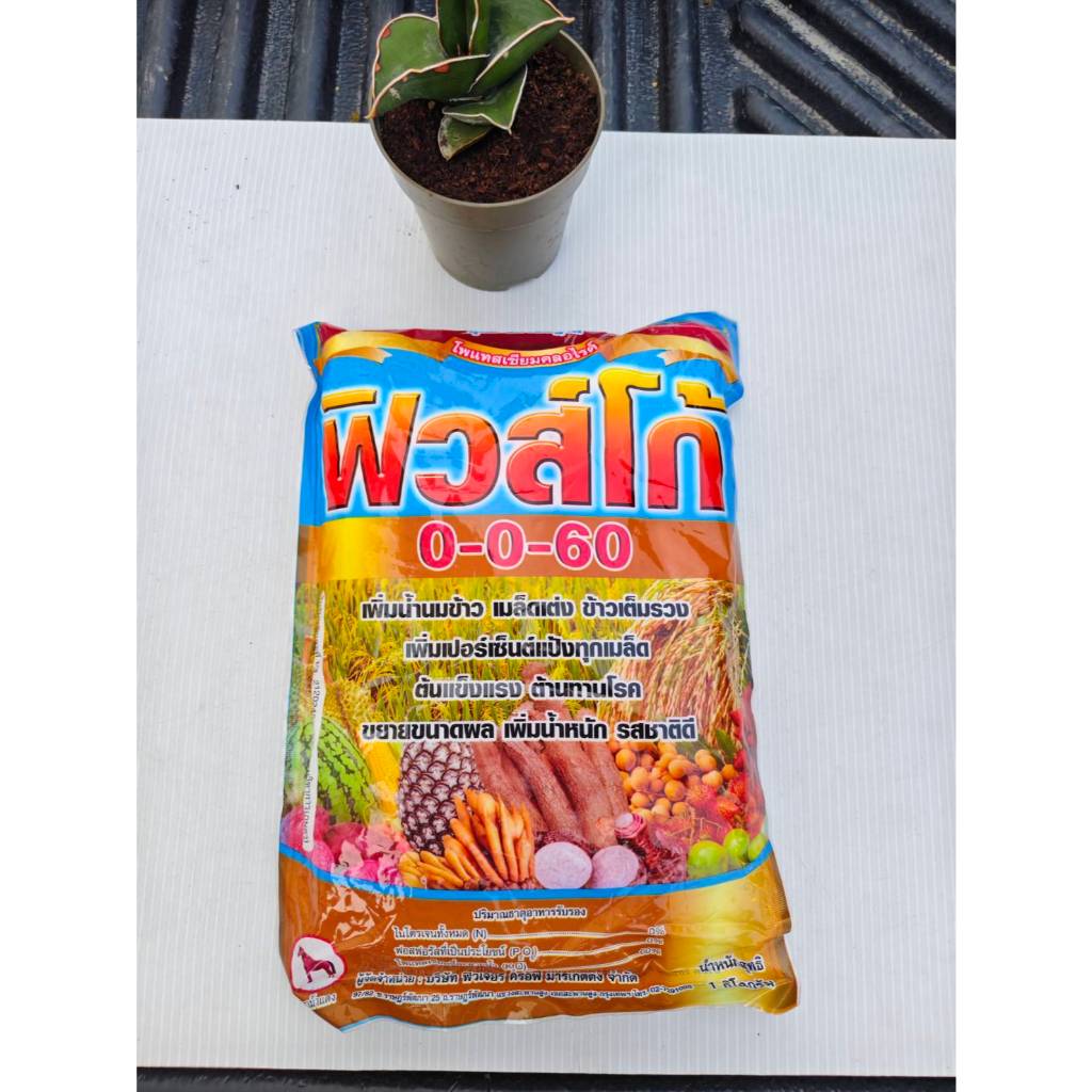 ปุ๋ยเกล็ดฟิวส์โก้ 0-0-60 ขนาด 1 กิโลกรัมชนิดละลายน้ำดี ฉีดพ่นทางใบหรือระบบน้ำเพื่อเร่งการลงหัว ขยายข