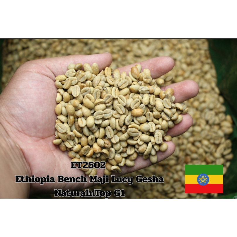 ET2502   Ethiopia Bench Maji Lucy Gesha Natural G1 Top