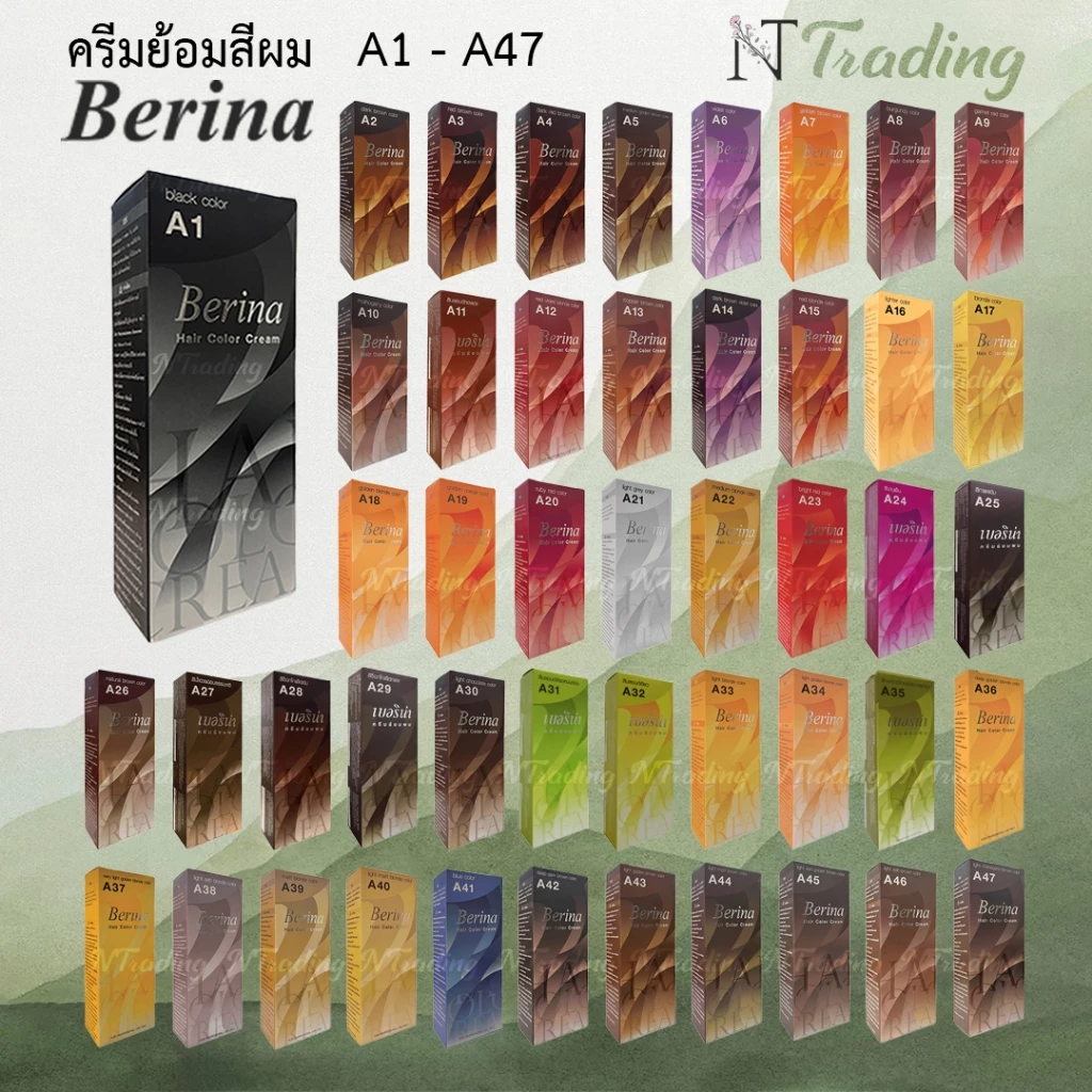 Berina Hair Color cream | เบอริน่า ครีมย้อมสีผม เบอร์ A1-A47 | 60 g