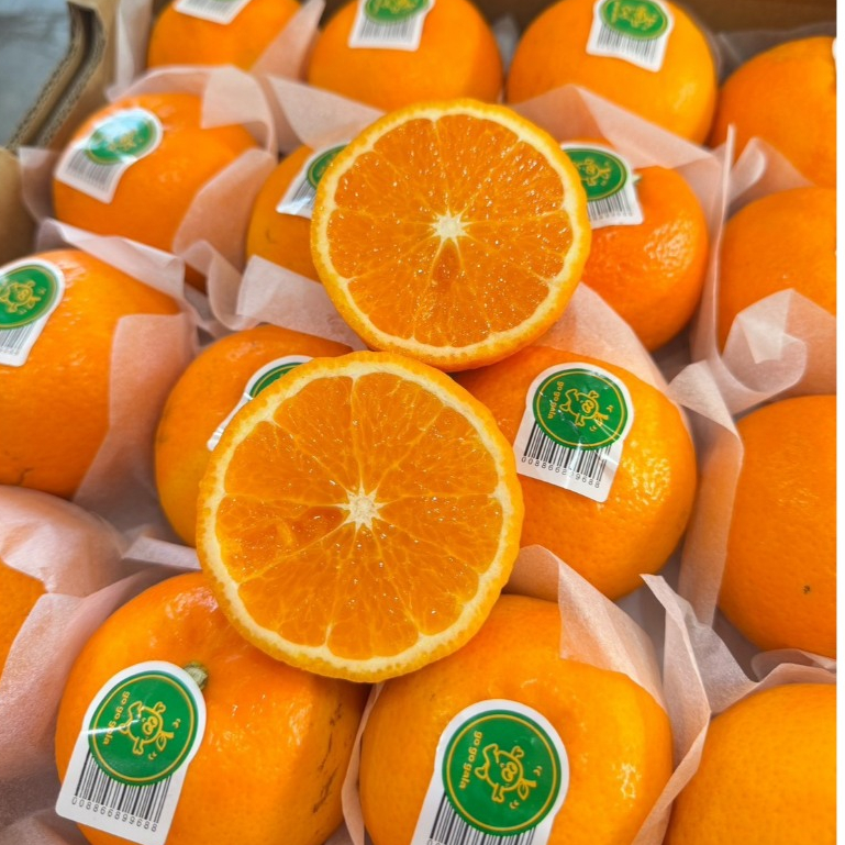 🍊ส้มไต้หวัน 1 กิโลกรัม ลูกสวย คัดพรีเมี่ยมรสชาติติดอับดับ อร่อยมากเนื้อหวานฉ่ำ ทานแล้วสดชื่นมาก