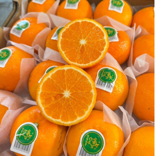 🍊ส้มไต้หวัน 1 กิโลกรัม ลูกสวย คัดพรีเมี่ยมรสชาติติดอับดับ อร…