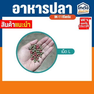 อาหารปลาคาร์พปลาสวยงาม BK-1 สูตรเร่งโตและเร่งสี 20 กิโลกรัม อาหารปลา 2 สี สำหรับปลาสวยงามทุกชนิด
