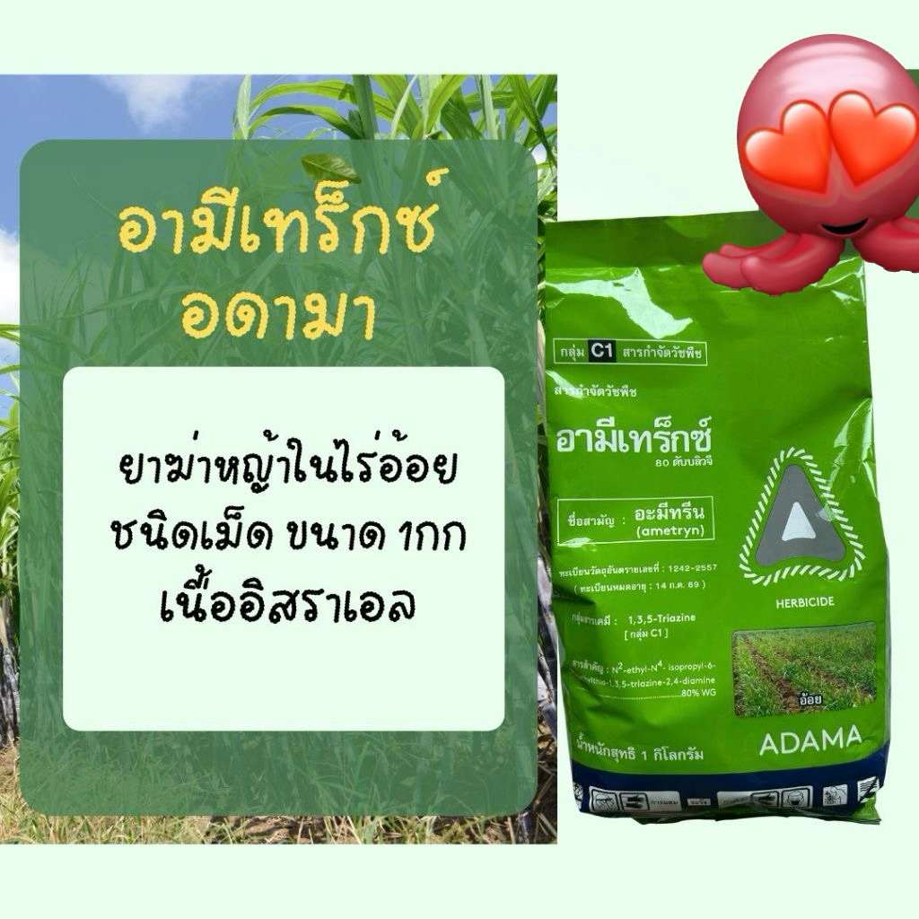อะมีทรีน อามีเทร็กซ์ ไล่หญ้าในร่องอ้อย หลังพืชงอก อะมีทรีนสูตรเม็ด จากอิสราเอล
