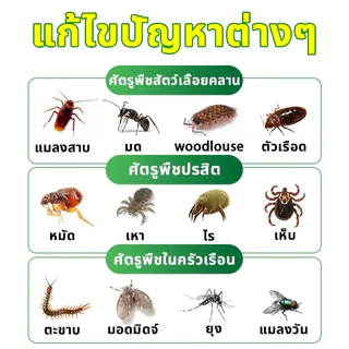 ซื้อ 1 แถม 1 ❗️ซื้อ 4 แถม 6🪳NANA ไล่แมลงสาบ ยากำจัดแมลงสาบ กำจัดแมลงสาบ เจลหอมกำจัดแมลงสาป สูตรเยอรมัน
