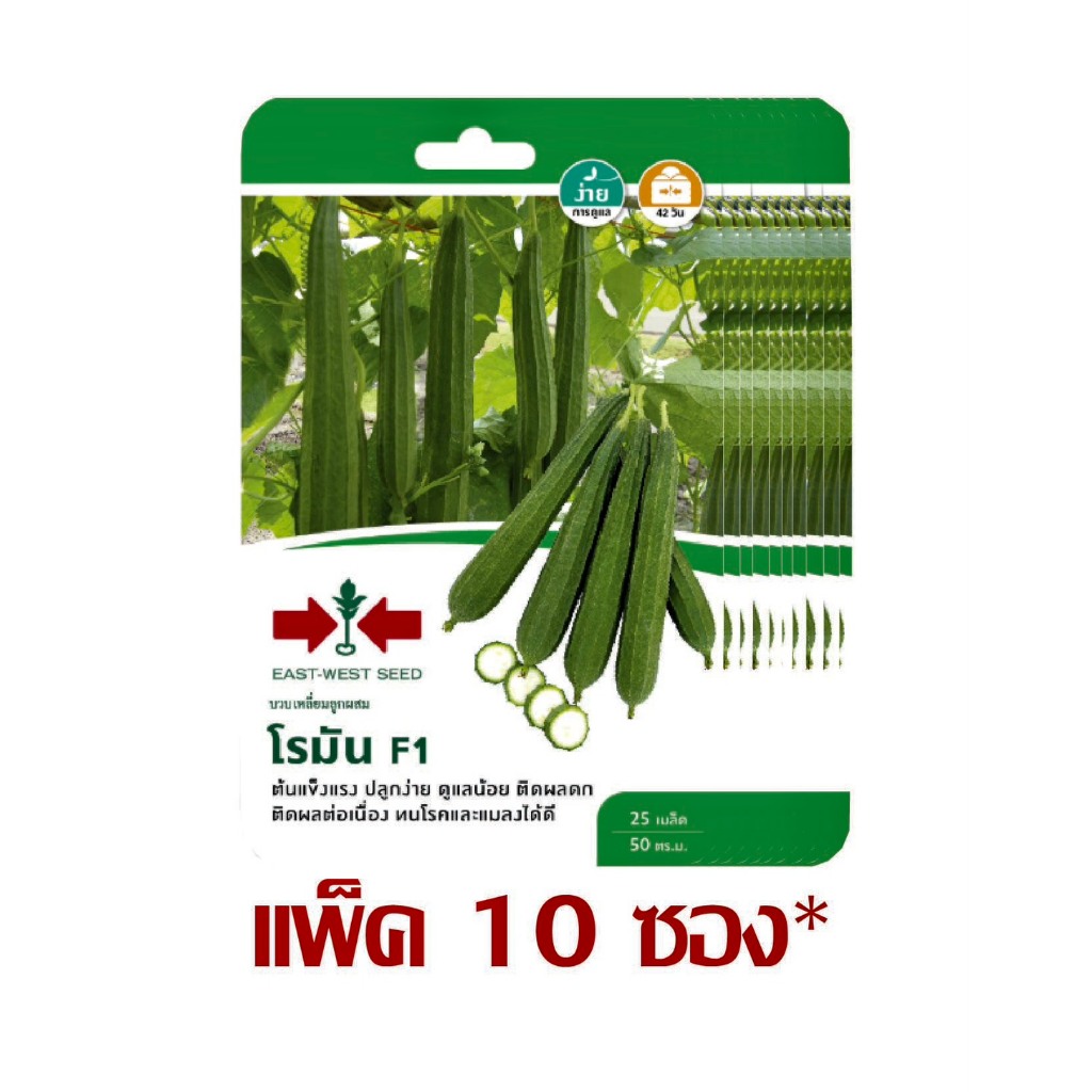 บวบเหลี่ยมลูกผสม โรมัน F1 25 เมล็ด ศรแดง (ยกแพ็ค 10 ซอง)