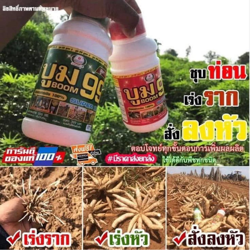 บูม99 ส่งฟรี ปุ๋ยน้ำใช้เร่งผลผลิตได้กับพืชทุกชนิด