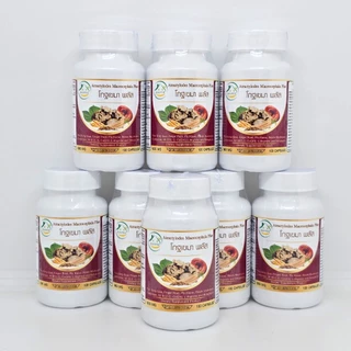 โกฐเขมา พลัส ตรา บ้านยิ้ม แป๊ะตุก/ชังตุ๊ก Atractylodes Macrocephala Plus ขนาด 600 มก. 100 แคปซูล