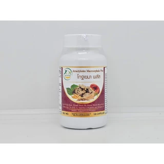 โกฐเขมา พลัส ตรา บ้านยิ้ม แป๊ะตุก/ชังตุ๊ก Atractylodes Macrocephala Plus ขนาด 600 มก. 100 แคปซูล