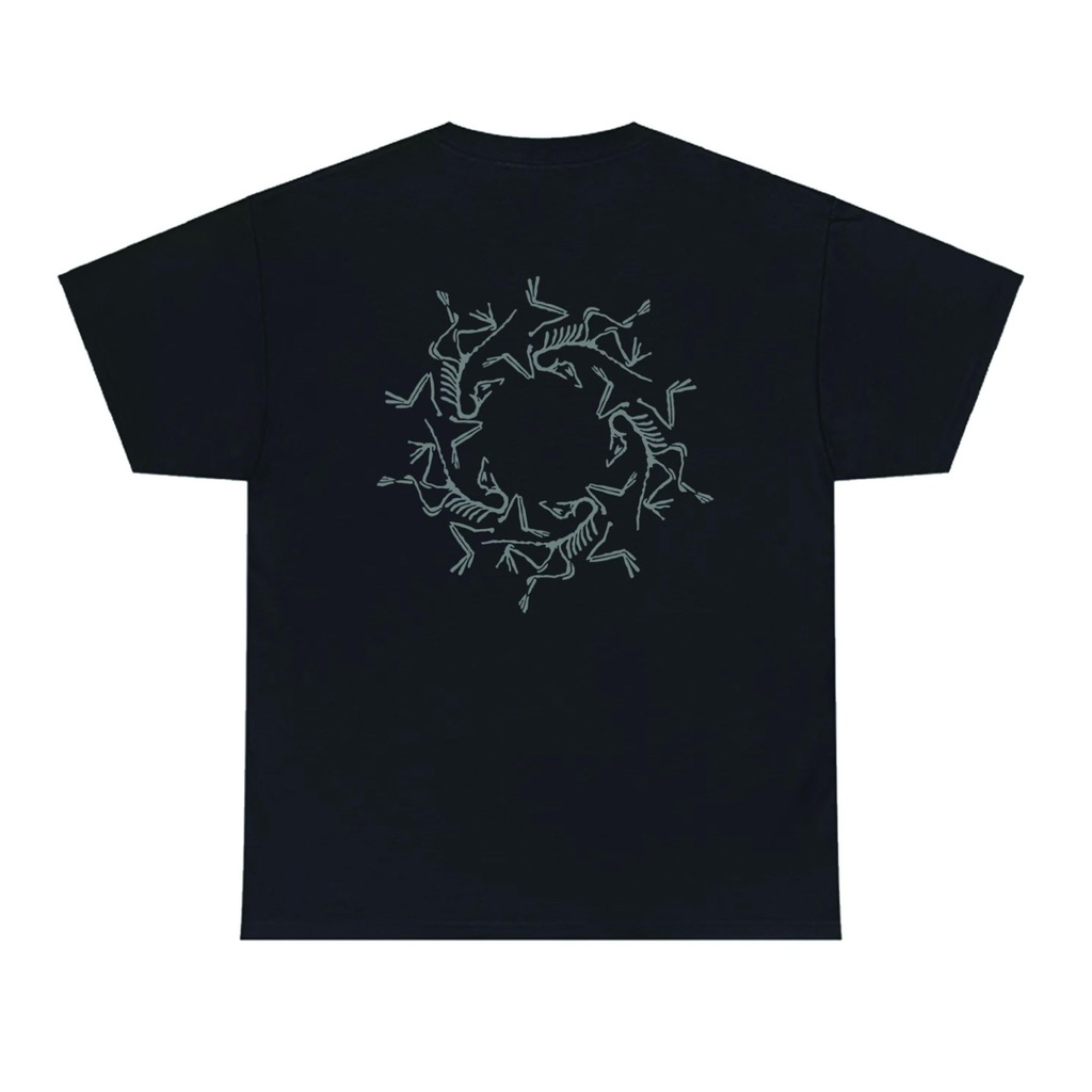 Arc teryx system A Solarium Tee เสื้อยืด cotton/grey(พร้อมส่ง)🚀