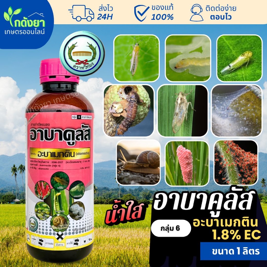 อาบาคูลัส (ใหม่) อะบา น้ำใส สูตรเย็น ตราหวีทอง กำจัดหนอน เพลี้ย ไร