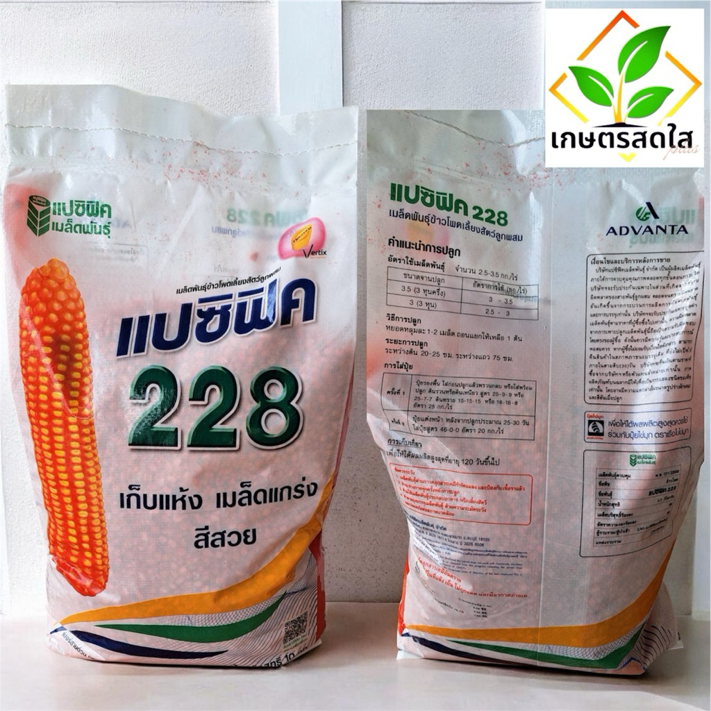 ข้าวโพดแปซิฟิค 228 (3.5 หุน)  ขนาด 10 กิโลกรัม 🌽 พันธุ์น้องใหม่ เก็บแห้ง 120 วัน เม็ดแกร่ง สีสวย