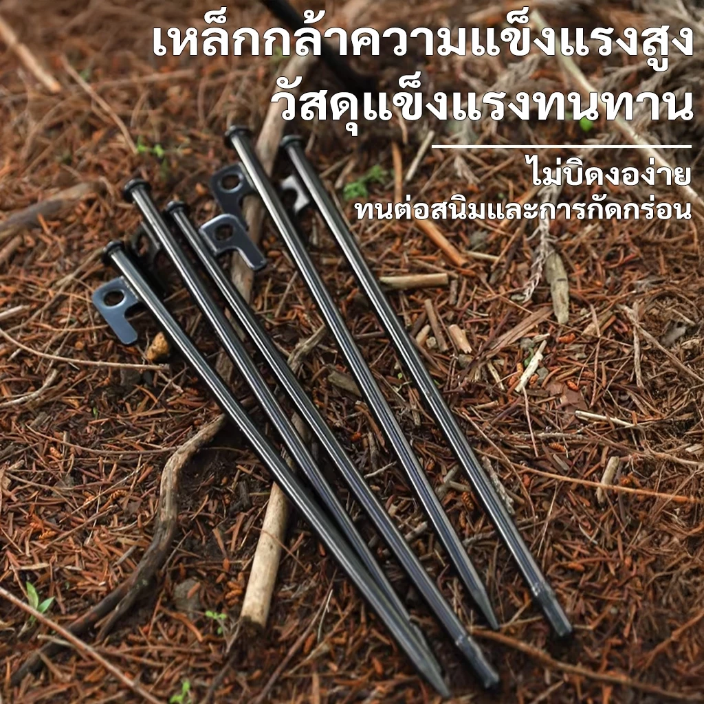 สมอบกเหล็กหล่อ สำหรับกางเต็นท์ 20cm/30cm/40cm thumbnail 5
