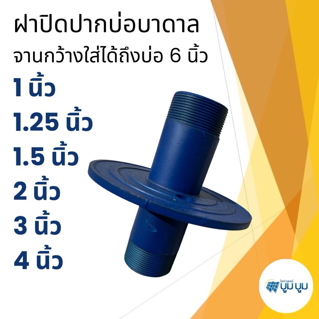 ฝาบ่อบาดาล ฝาปิดปากบ่อบาดาลเหล็ก ฝาครอบบ่อ 0.75นิ้ว 6 หุน 1 นิ้ว 1.25 นิ้ว 1.5 นิ้ว 2 นิ้ว 3 นิ้ว 4 นิ้ว ราคา ถูกที่สุด ดีลบีเคเค รูปภาพหลัก