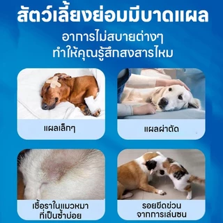 💊อ่อนโยน ไม่แสบ🐱สเปรย์สมานแผลสำหรับสัตว์เลี้ยง สเปรย์พ่นแผล สเปรย์นาโน ดูแลแผลไว ใช้ได้ทั้งแมวหมา ปลอดภัยเลียได้