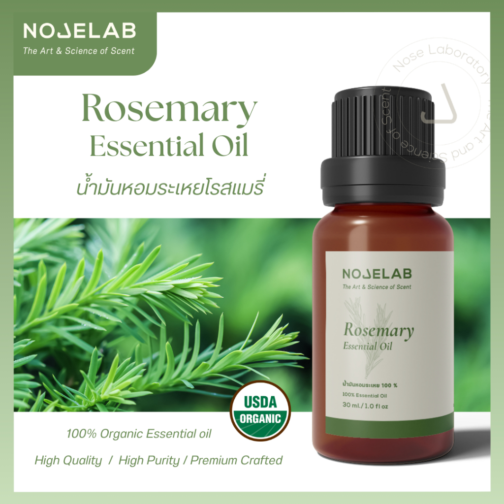 Rosemary Essential Oil 100% – ปลุกพลังสมอง กระตุ้นความจำ ด้วยศาสตร์แห่งโรสแมรี่เกรดพรีเมียม