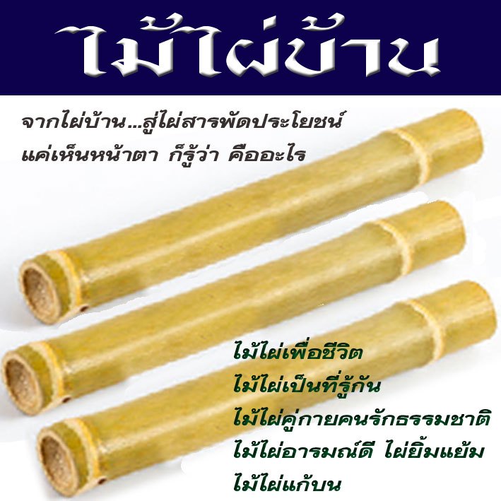 ไม้ไผ่บ้าน ไม้ไผ่ขวัญใจคนรักธรรมชาติงานแฮนด์เมด