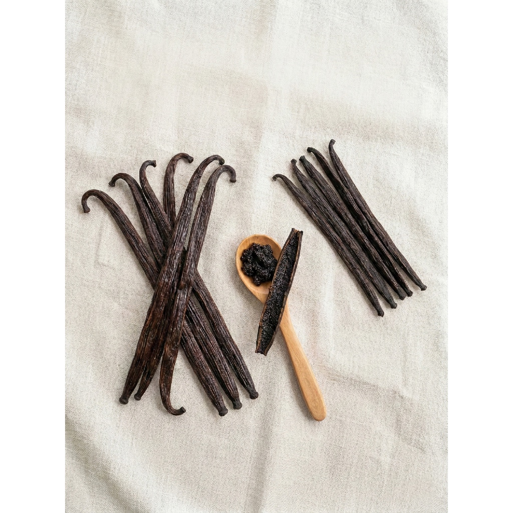 ฝักวานิลลา เกรดพรีเมียม (Premium Vanilla Beans) สายพันธุ์มาดากัสการ์ ปลูกในไทย ฟาร์มออร์แกนิก หอมละมุน