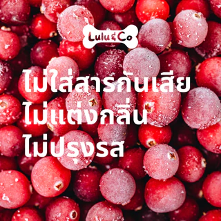 Sweet & Sour Crisps บิสกิตแอปเปิ้ล มังสวิรัติ ขนมสุนัข วีแกน Lulu & Co Dehydrated Dog Treat