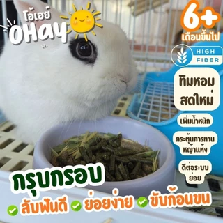 🍀ทดแทนหญ้า🍀หญ้าอัดเม็ด ทิโมธีอัดเม็ด 100% สำหรับกระต่ายและหนูแกสบี้เต่าบก หญ้านำเข้าจากอเมริกา 1.5กก.