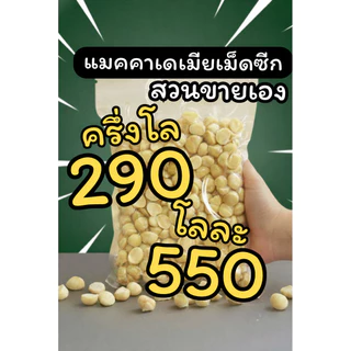 แมคคาเม็ดซีกใหม่จากสวนเมืองเลย!เจ้าของขายเอง
