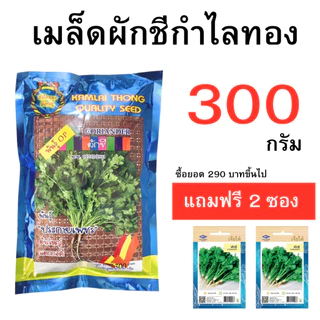 เมล็ดผักชี ถุงใหญ่ ซื้อยอด 290 บาทขึ้นไปแถมฟรี เมล็ดผักชีเจียไต๋ จำนวน 2 ซอง