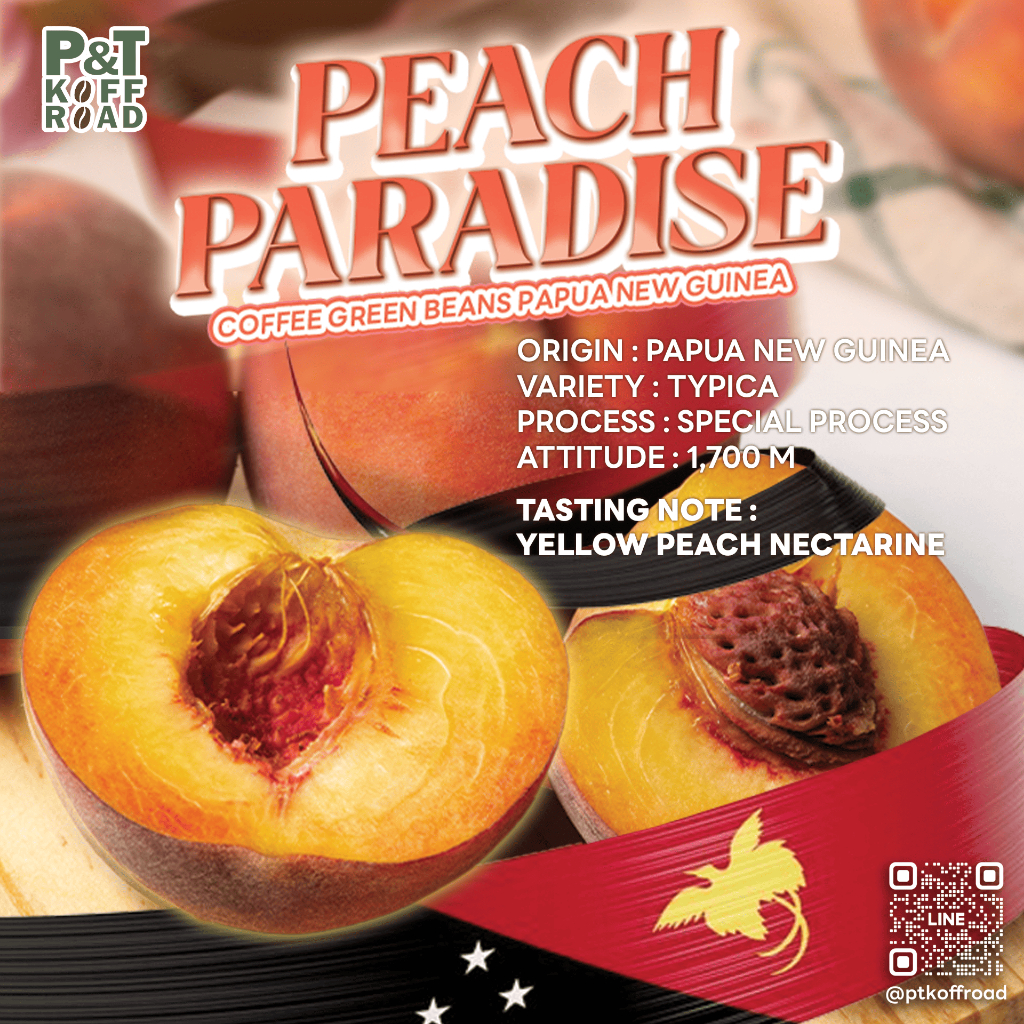 เมล็ดกาแฟดิบ พีซ พาราไดซ์ Peach Paradis : Green Bean Papua . Special Process บรรจุ 500g. - 1 kg. P&T KoffRoad