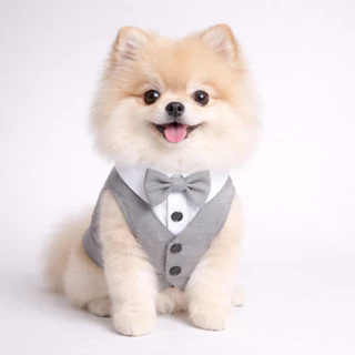 สูทหมา สูทแมว Dog Tuxedo เสื้อกั๊ก แขนกุด ติดโบว์ ผ้าหรู ลุคคุณชาย ชุดออกงาน งานแต่ง วันเกิด หมาเล็ก แมวใส่ได้