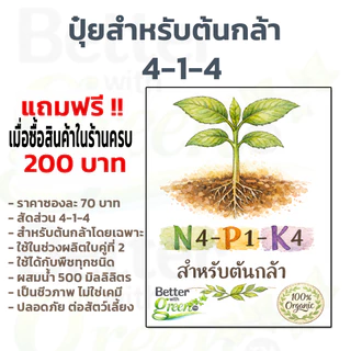เมล็ดพันธุ์ ไวท์ โคลเวอร์ 200 เมล็ด (WHITE CLOVER) นำเข้า การันตีสายพันธุ์