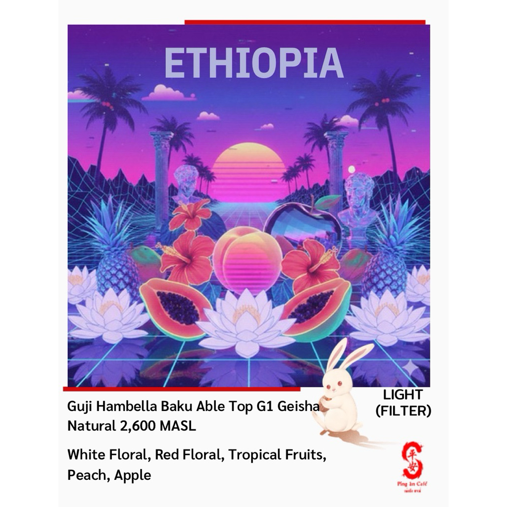 Ethiopia Guji Geisha