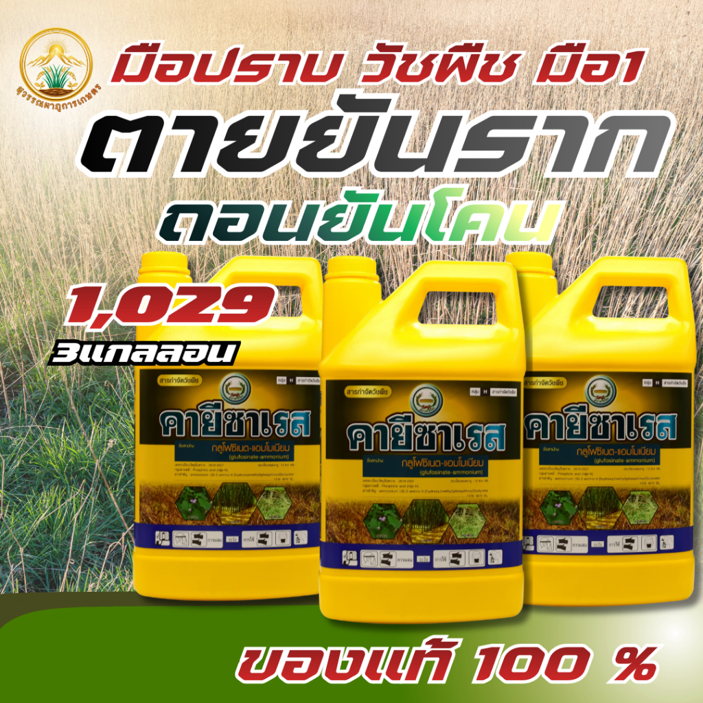 คายีซาเรส ขนาด4ลิตร(ราคาส่ง)กลูโฟซิเนต-แอมโมเนีย(ตราหวีทอง)