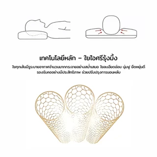 หมอนเมมโมรี่โฟมแท้ เกรดพรีเมียม นุ่มเด้ง ยุบตัวช้า โอบกระชับสรีระ นอนนานไม่ยุบตัว หลับลึกถึงเช้า ป้องกันไรฝุ่น 100%