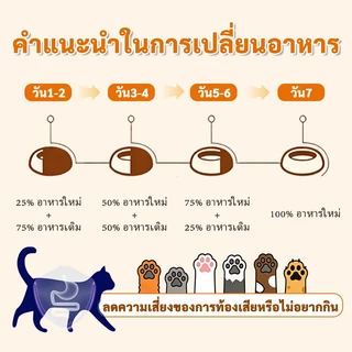 Plendy อาหารเปียกแมว 3 ซอง สุขภาพดี ขนาด 60ก เลือกรสชาติได้ อาหารเปียกแมวแบบซอง